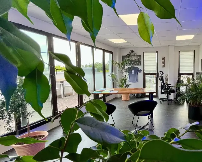 Intérieur du cabinet Stégéas